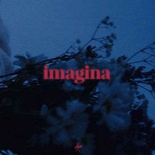 Album cover art for Imagina