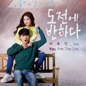 Album cover art for You Are the One