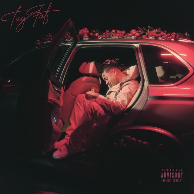 Album cover art for Tag Fat