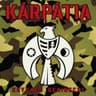 Katicabogár