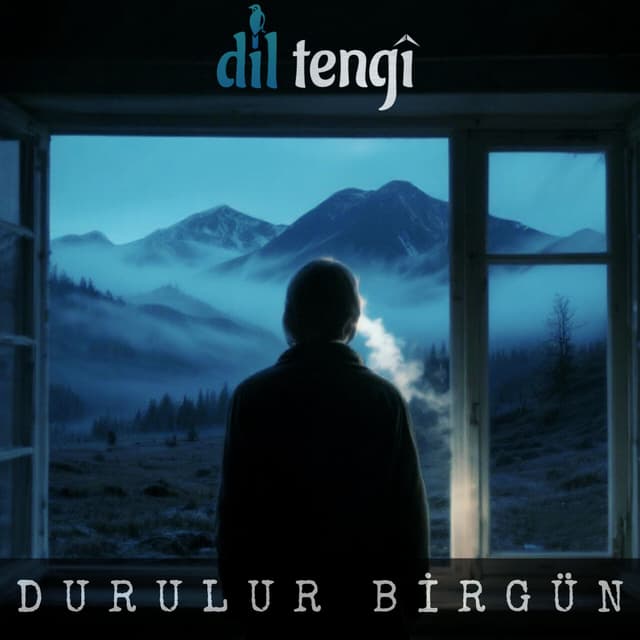 Album cover art for Durulur Birgün