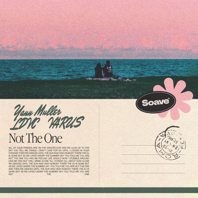 Album cover art for Not The One