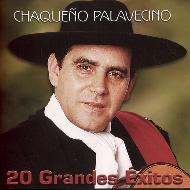 Album cover art for 20 Grandes Éxitos