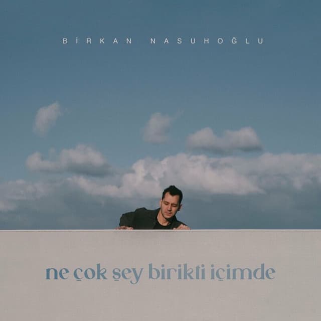 Album cover art for ne çok şey birikti içimde