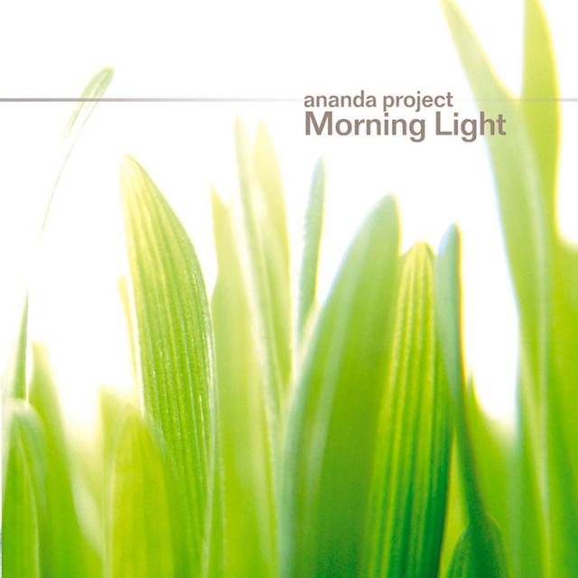 Album cover art for Morning Light