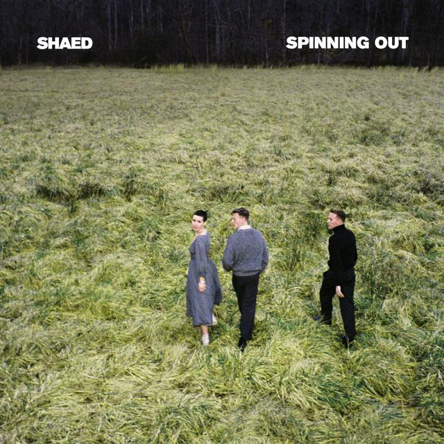 Album cover art for Spinning Out