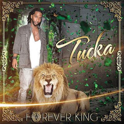 Album cover art for "Forever King"