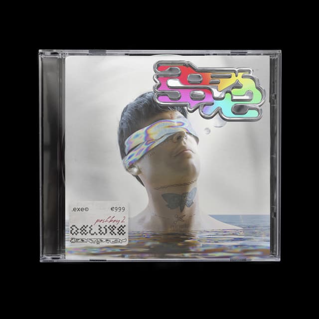 Album cover art for Poshboy2