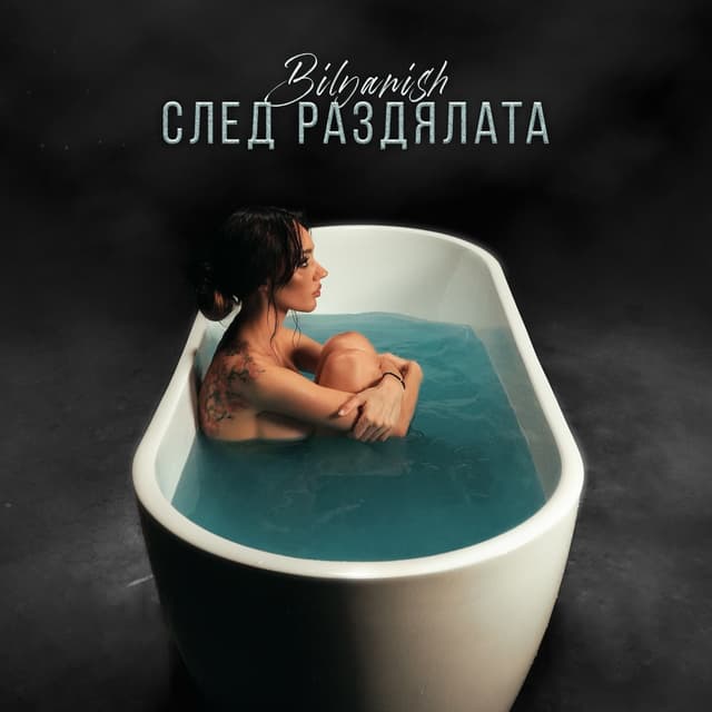Album cover art for След раздялата