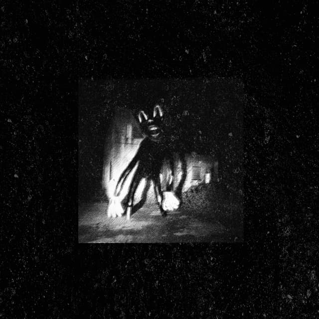 Album cover art for CARTOON CAT