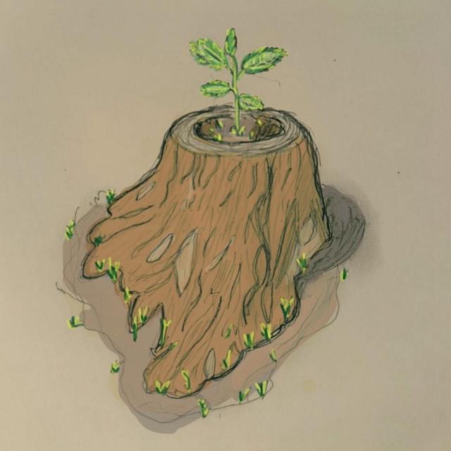 Album cover art for Logging Field