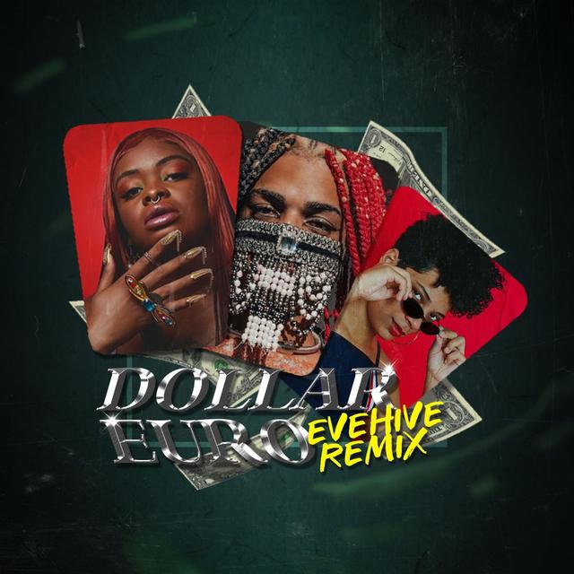 Album cover art for DOLLAR EURO (REMIX)