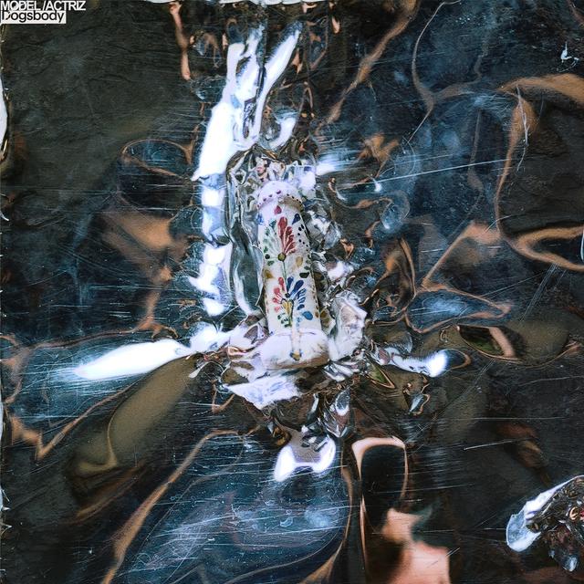 Album cover art for Dogsbody