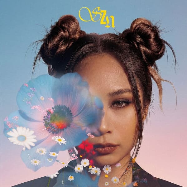 Album cover art for Szn
