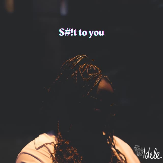 Album cover art for S#!t to You