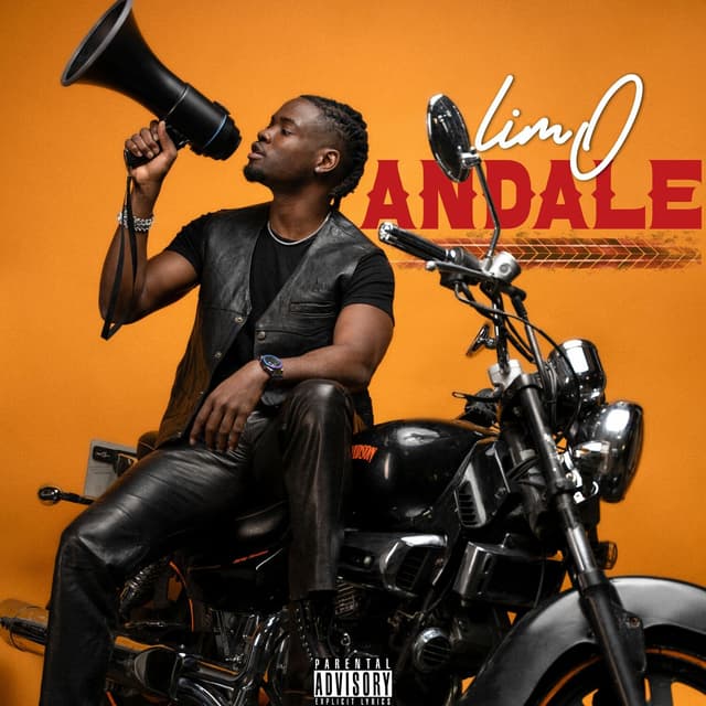 Album cover art for Andale