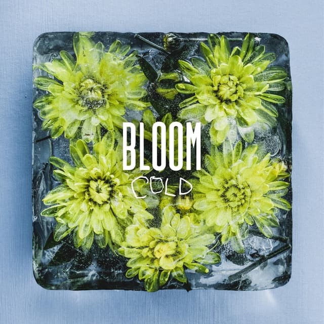Album cover art for Cold
