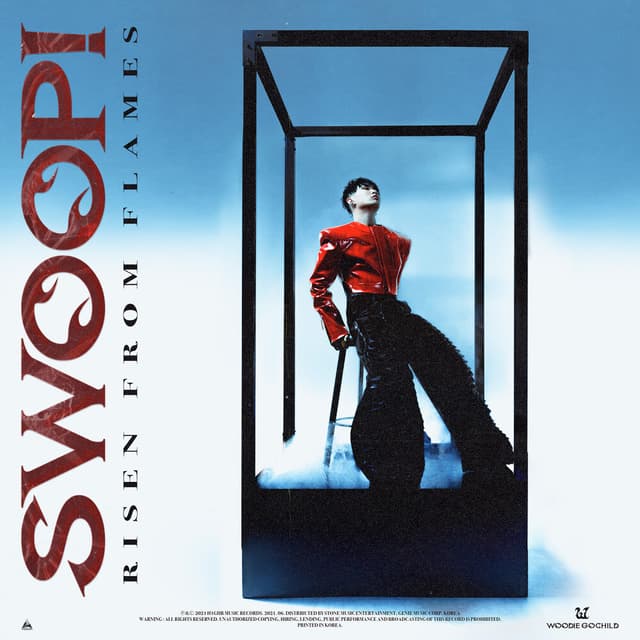 Album cover art for SWOOP!