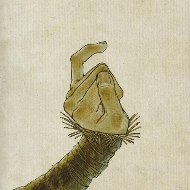 Album cover art for Cole's Response