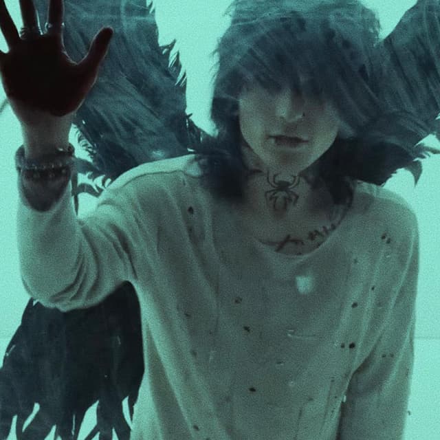 Album cover art for Doctor