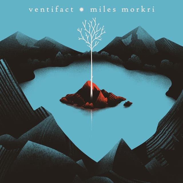 Album cover art for ventifact