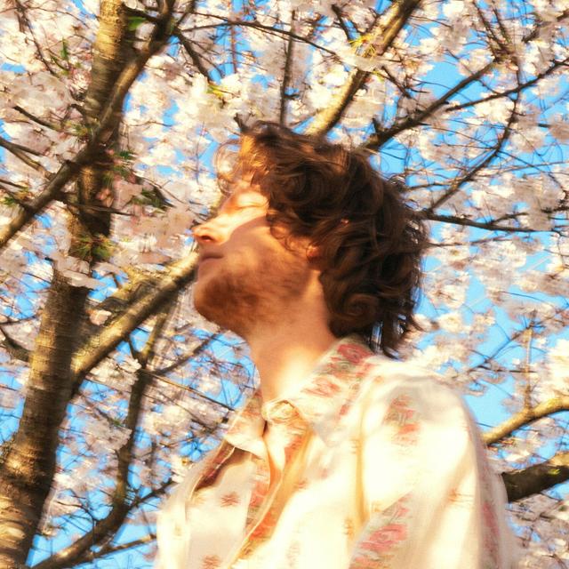 Album cover art for Fruit from the Trees