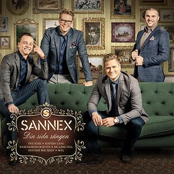 Album cover art for Din Sida Sängen