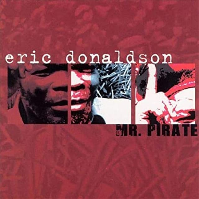 Album cover art for Mr. Pirate