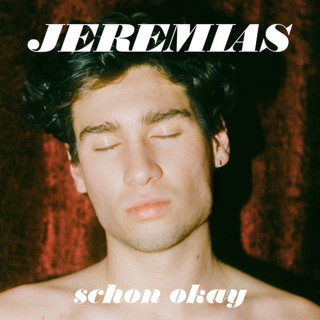 Album cover art for Schon Okay