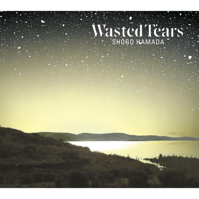 Album cover art for WASTED TEARS