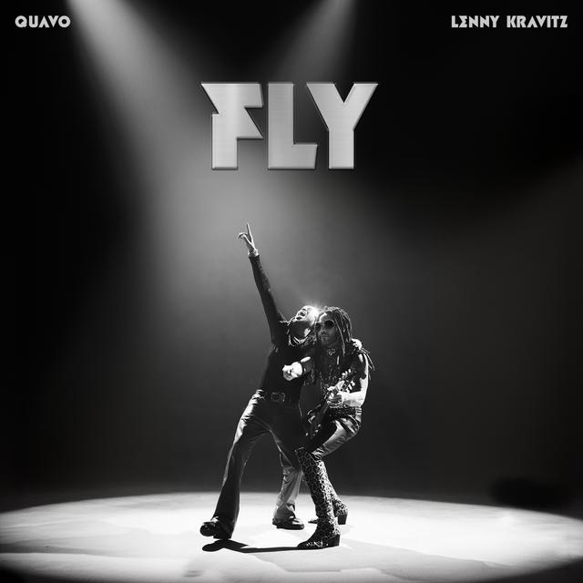 Album cover art for FLY