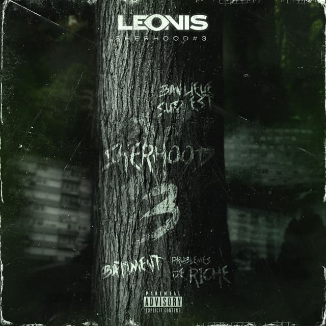 Album cover art for Dans le bâtiment (Sherhood #3)
