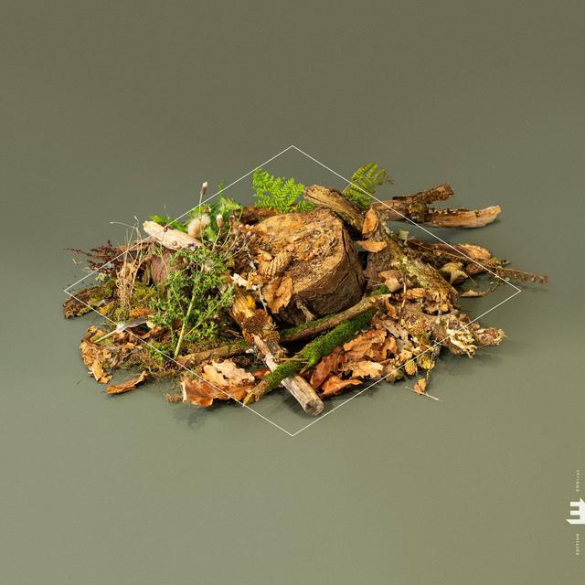 Album cover art for Forest Floor