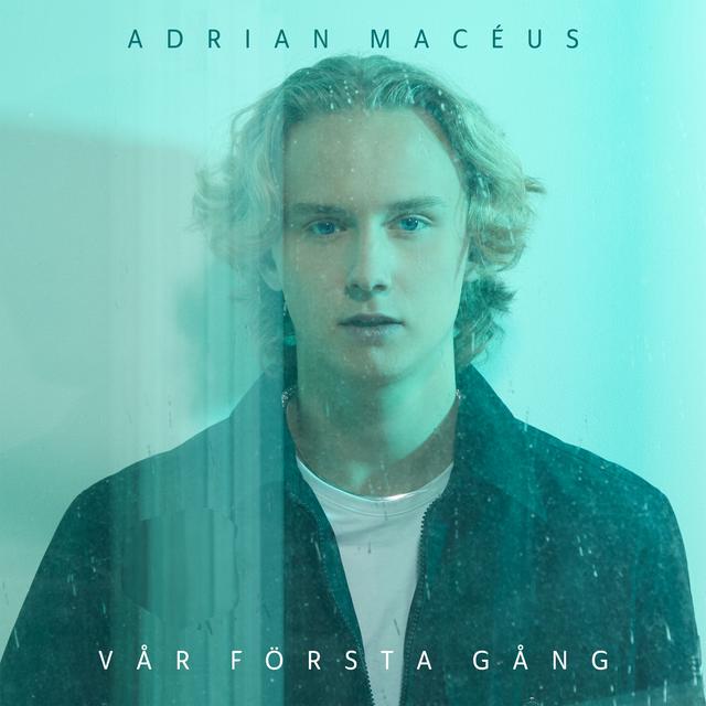 Album cover art for Vår första gång