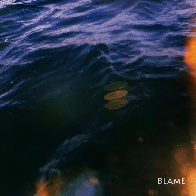 Album cover art for Blame