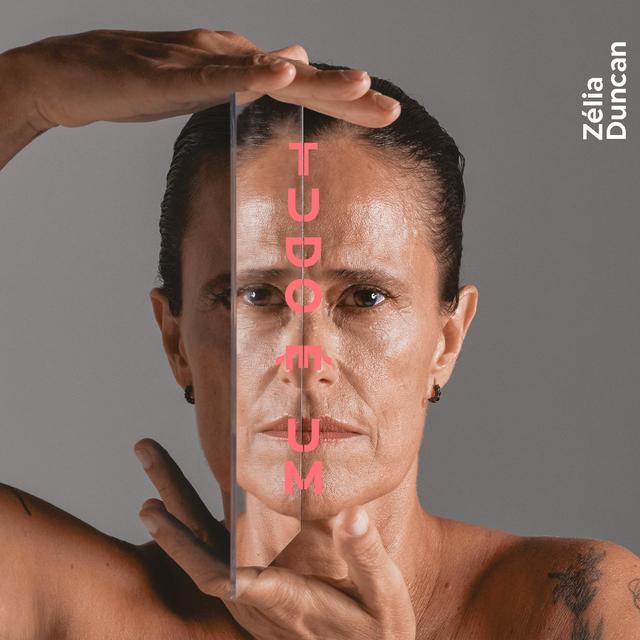 Album cover art for Tudo É Um