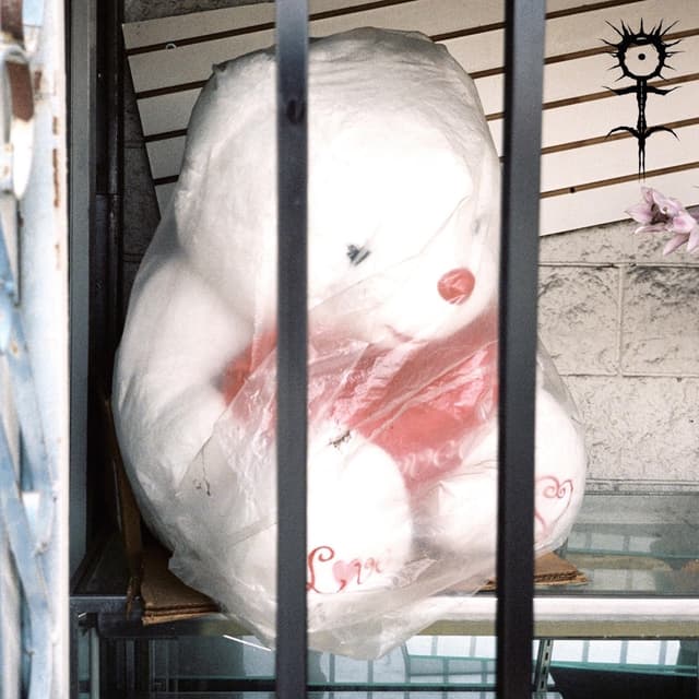 Album cover art for S.W.I.M.