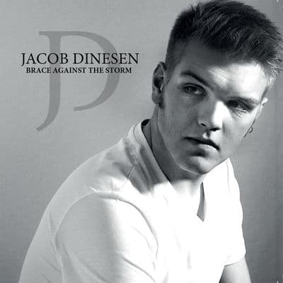 Album cover art for Brace Against The Storm