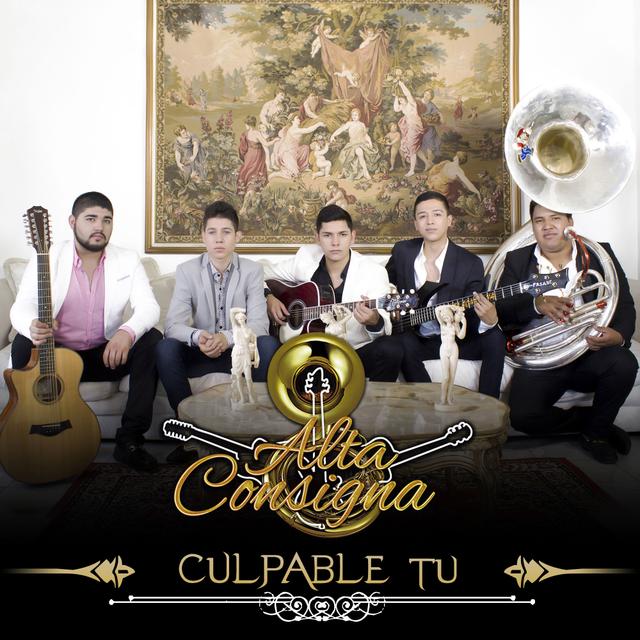 Album cover art for Culpable Tu