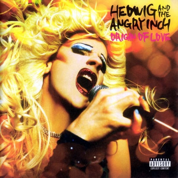 Album cover art for Origin Of Love