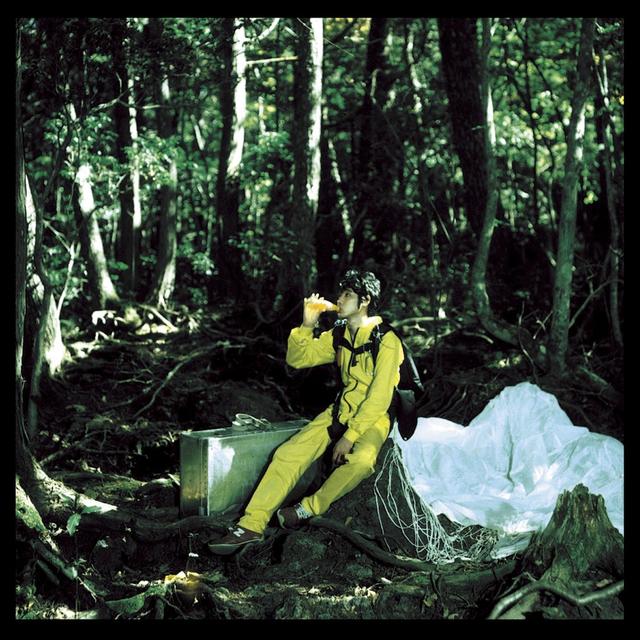 Album cover art for Because