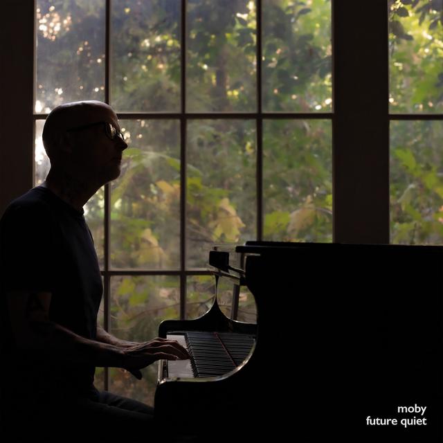 Album cover art for Future Quiet