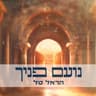 נועם פניך