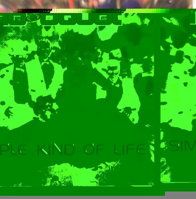 Album cover art for Simple Kind Of Life