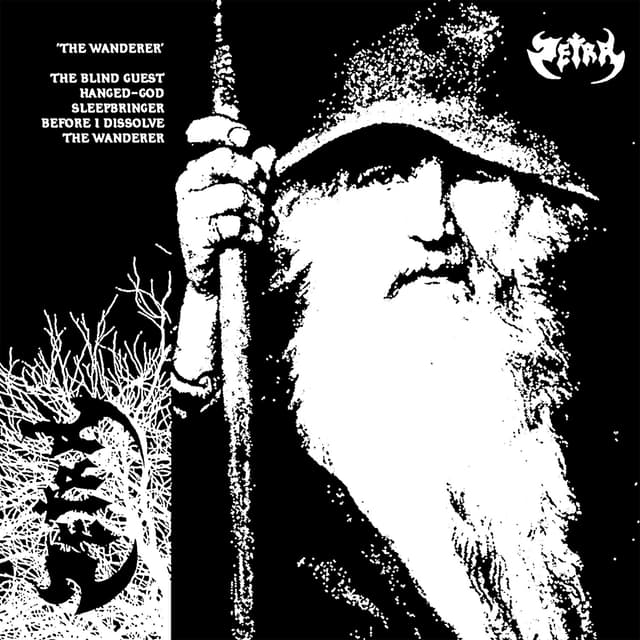Album cover art for The Wanderer