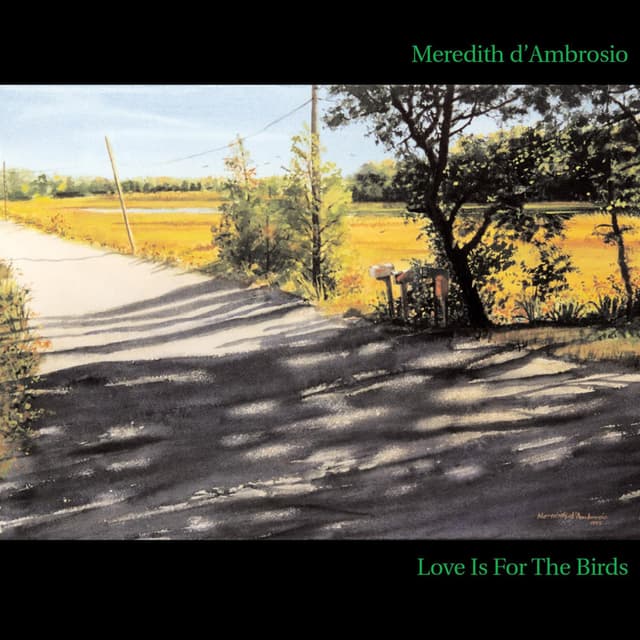 Album cover art for Love Is For The Birds