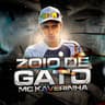 Zoio de Gato