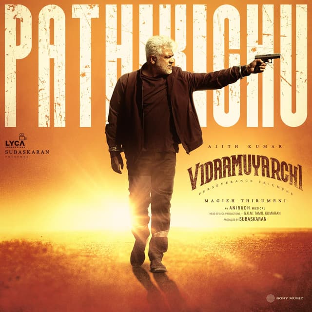 Album cover art for Pathikichu