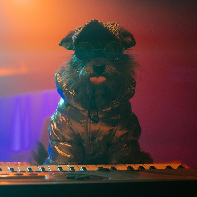 Album cover art for Disco Club