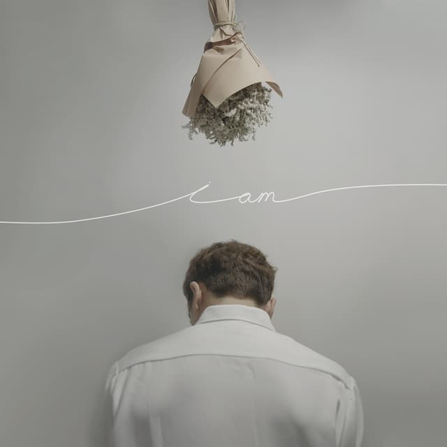 Album cover art for i am